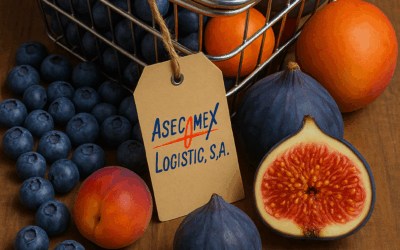 El sector alimentario: Nuevos tiempos