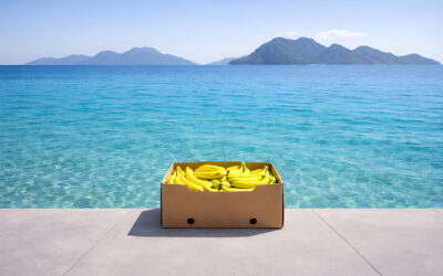 El incremento del tráfico de Las Palmas